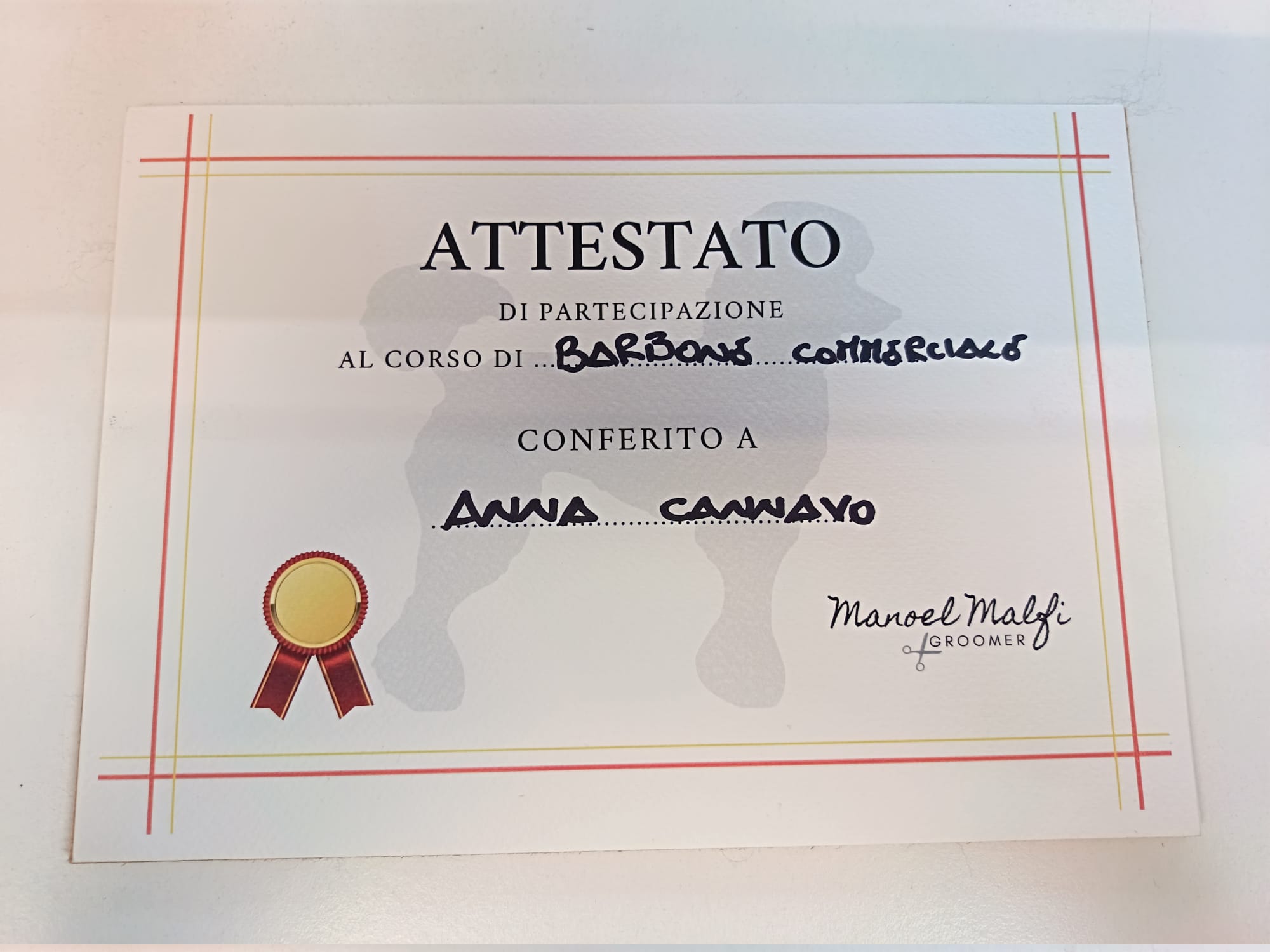 Attestato Barbone Commerciale