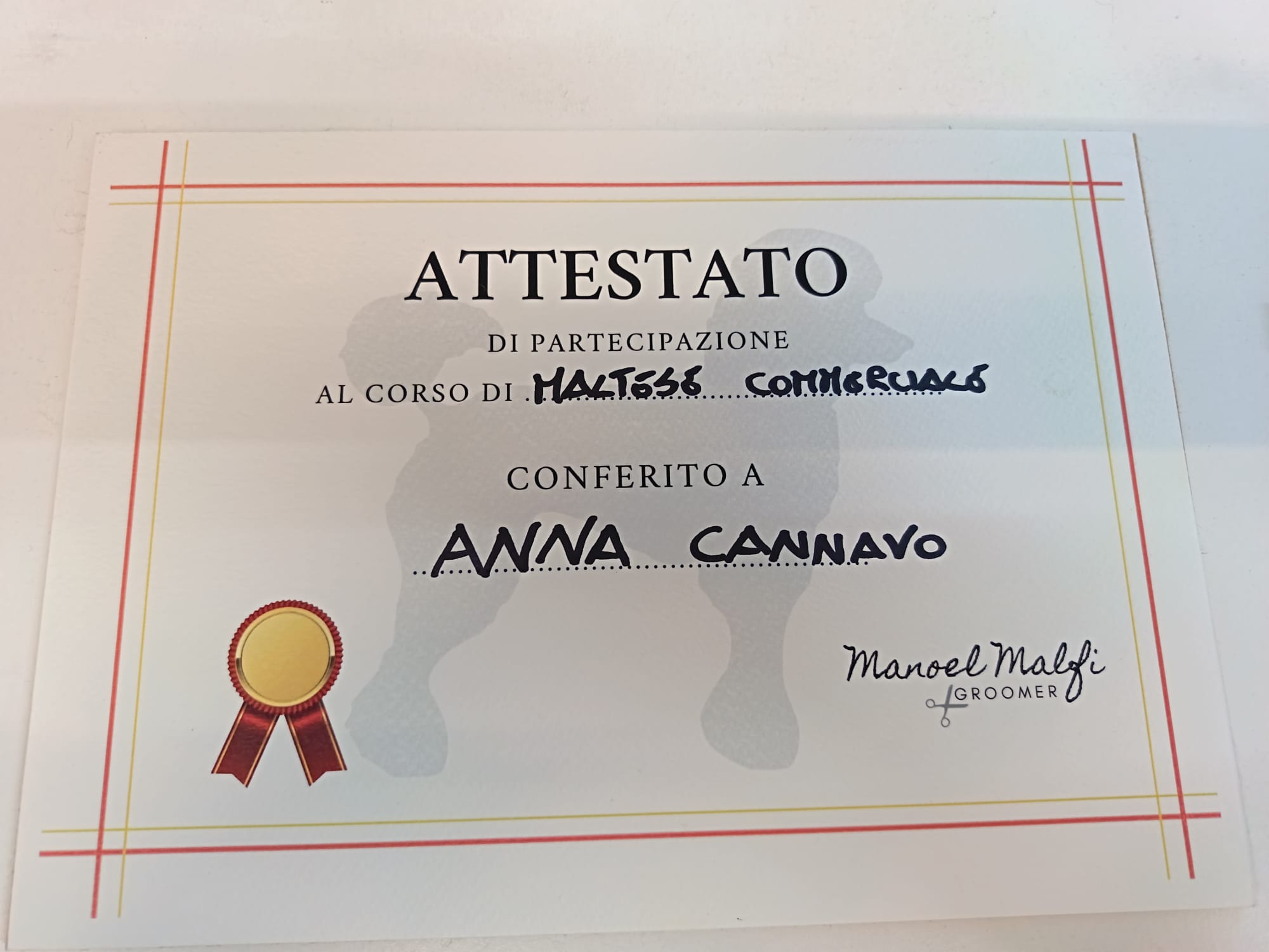 Corso Maltese Commerciale