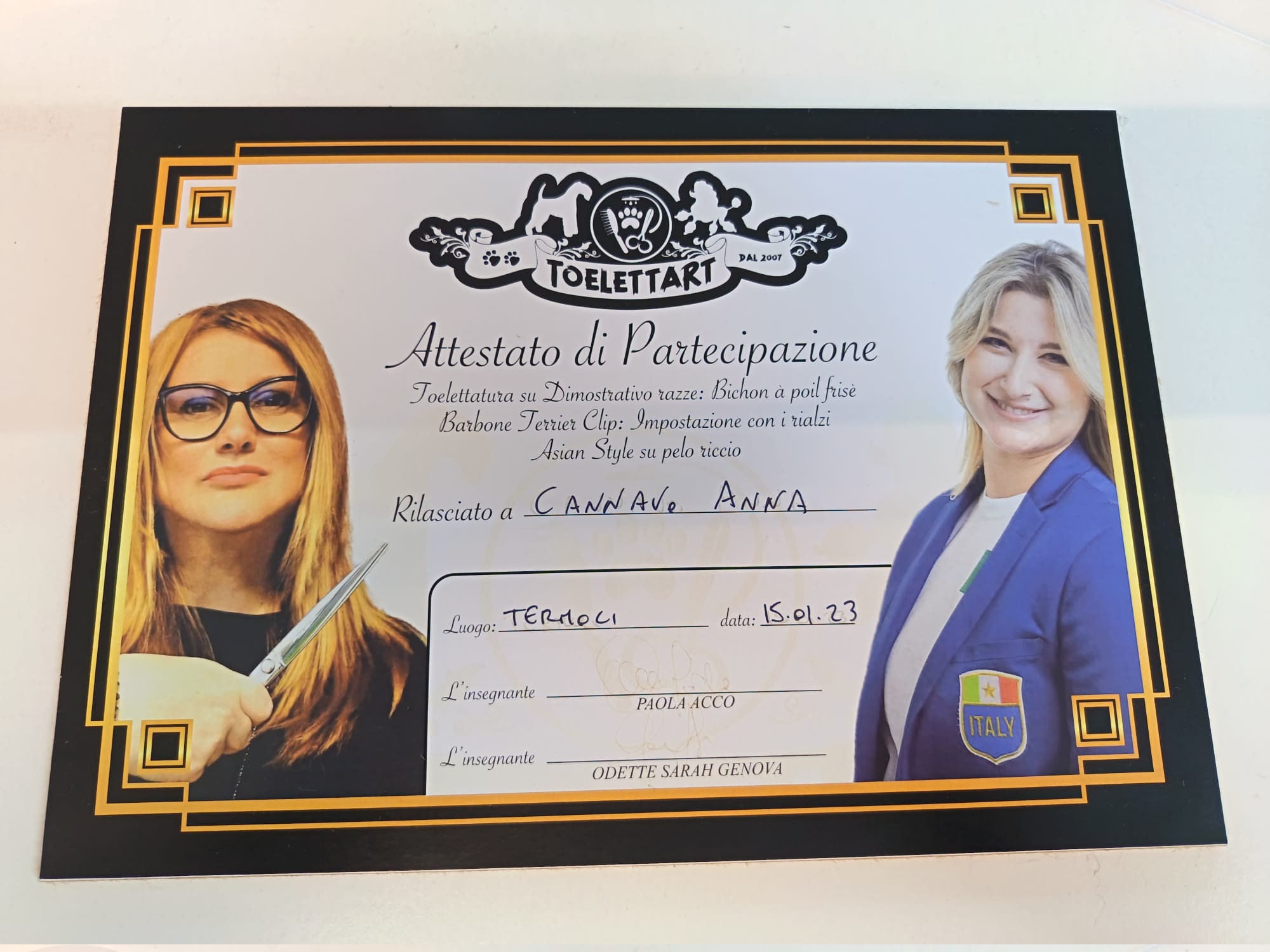 Toelettatura Barbone