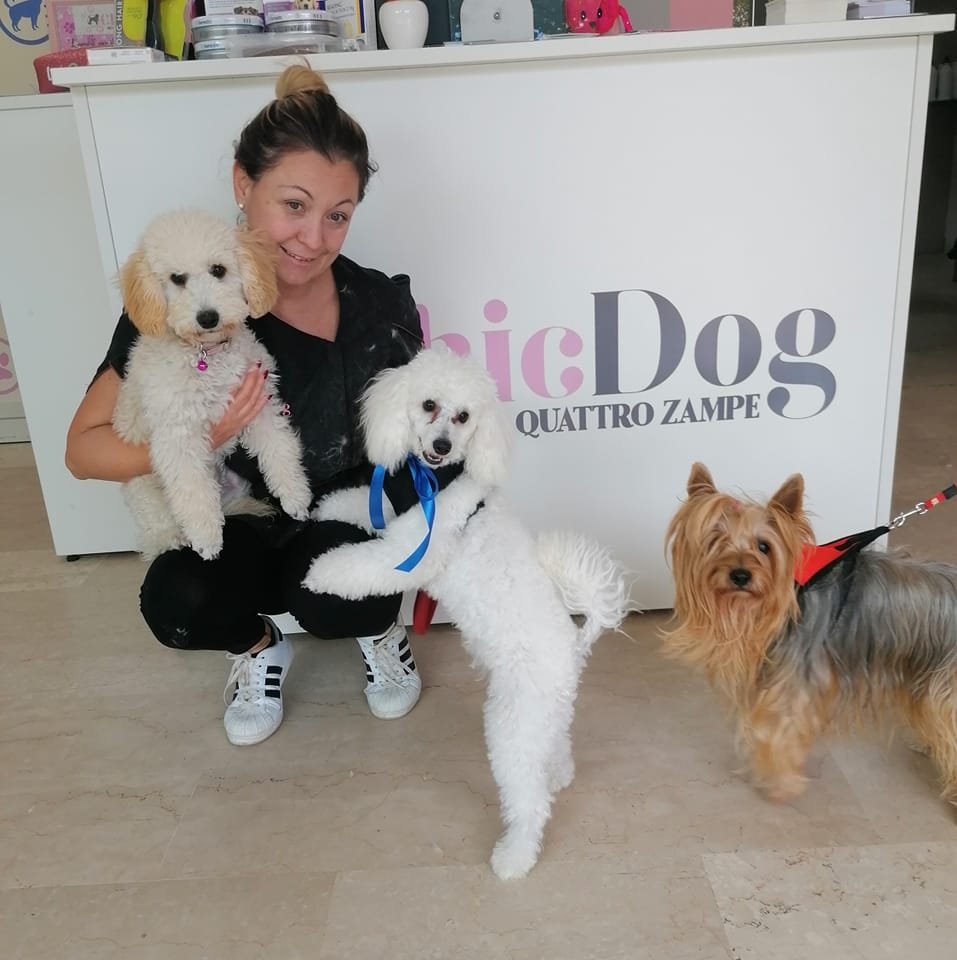 Interno Salone Chic Dog