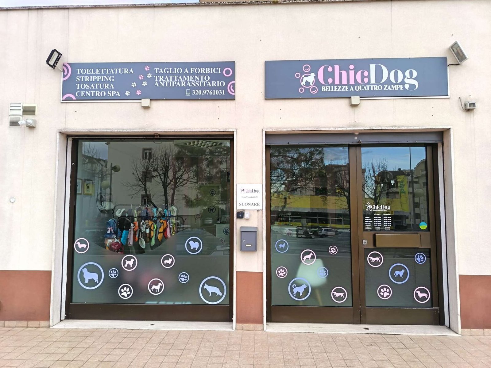 SPA per cani a Vasto relax e benessere