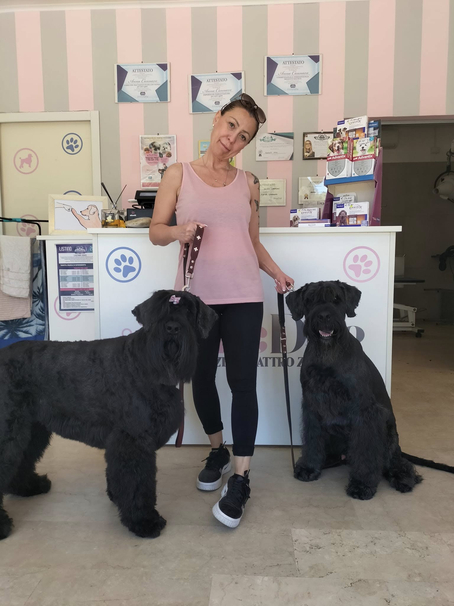 Chic Dog Vasto - Salute e benessere animali